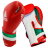 Adidas Boxing Gloves adiSpeed adiSBG501PRO RD/WH