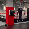 Fighttech Boxing Wall Cushion WB4