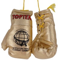 Top Ten Сувенирные Боксерские Перчатки WCG TTGG
