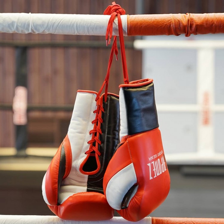 Gaponez Boxing Gloves Fight Pro GBFG RD/WH/BK