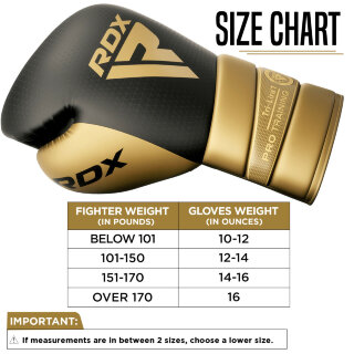 RDX Boxing Gloves Tri Lira 1.0 BGM-PTTL1