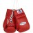 Winning Boxing Gloves Lace-Up MS-X00