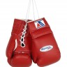 Winning Boxing Gloves Lace-Up MS-X00