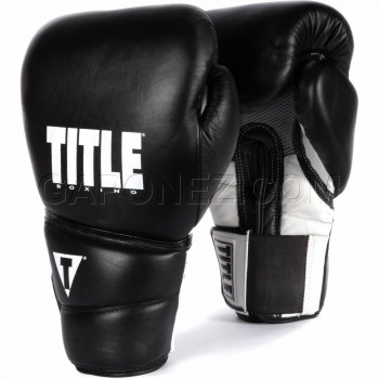 Title Boxing Gloves Revolution TPTGE 