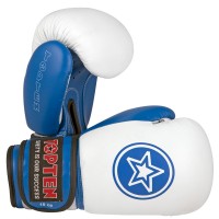 Top Ten Боксерские Перчатки Special Edition Белый/Синий Цвет 2068-6010