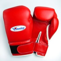 Winning Boxing Gloves Hook-and-Loop MS-X00-B