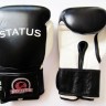 Status Boxing Gloves BG-01