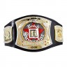 WWE Spinning Championship Kid Size Replica Belt WWEBK27
